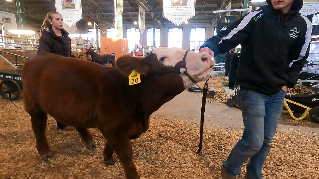Spotlight on beef as Minnesota midterms near — WCCO / CBS Minnesota, Bloomington Community news