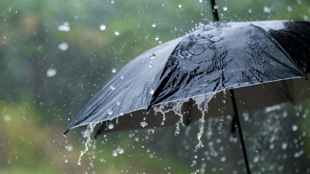 Widespread rain in Minnesota Monday; milder air returns Tuesday — WCCO / CBS Minnesota, Bloomington Community news