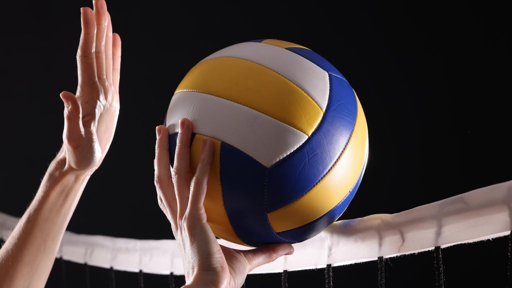 SeatGeek's first volleyball partner is the Minnesota Forge in a multiyear deal — WCCO / CBS Minnesota, Bloomington Business news