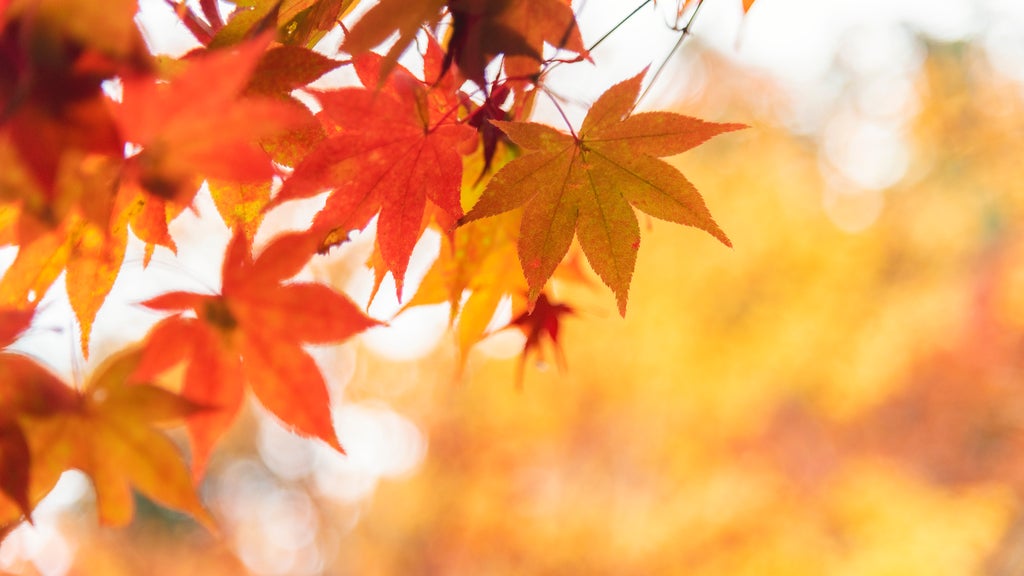 More sunny, mild late October weather in Minnesota Tuesday — WCCO / CBS Minnesota, Bloomington Business news