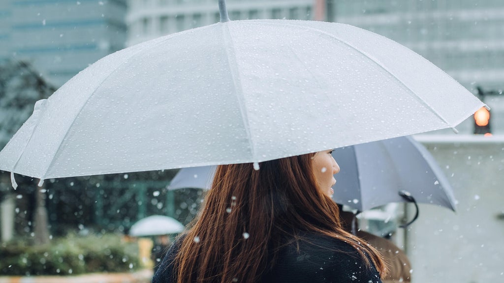 Soggy, chilly Thursday in the Twin Cities; season's first frost possible Saturday — WCCO / CBS Minnesota, Bloomington Sports news
