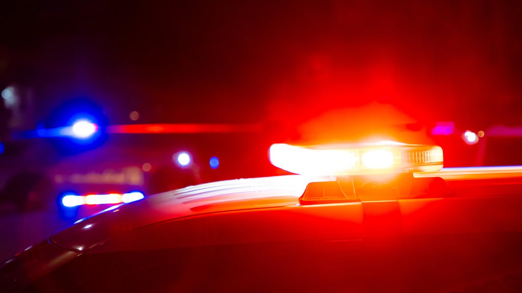 Driver killed in head-on collision with semi in central Minnesota — Bloomington Community news