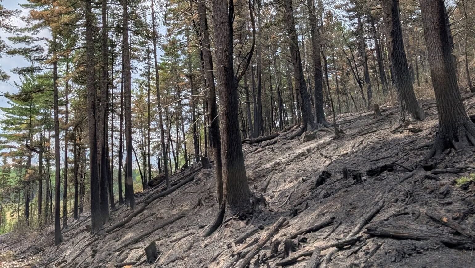 74-year-old who became separated from his family on a trail in Ely was discovered dead — KSTP 5, Bloomington Community news