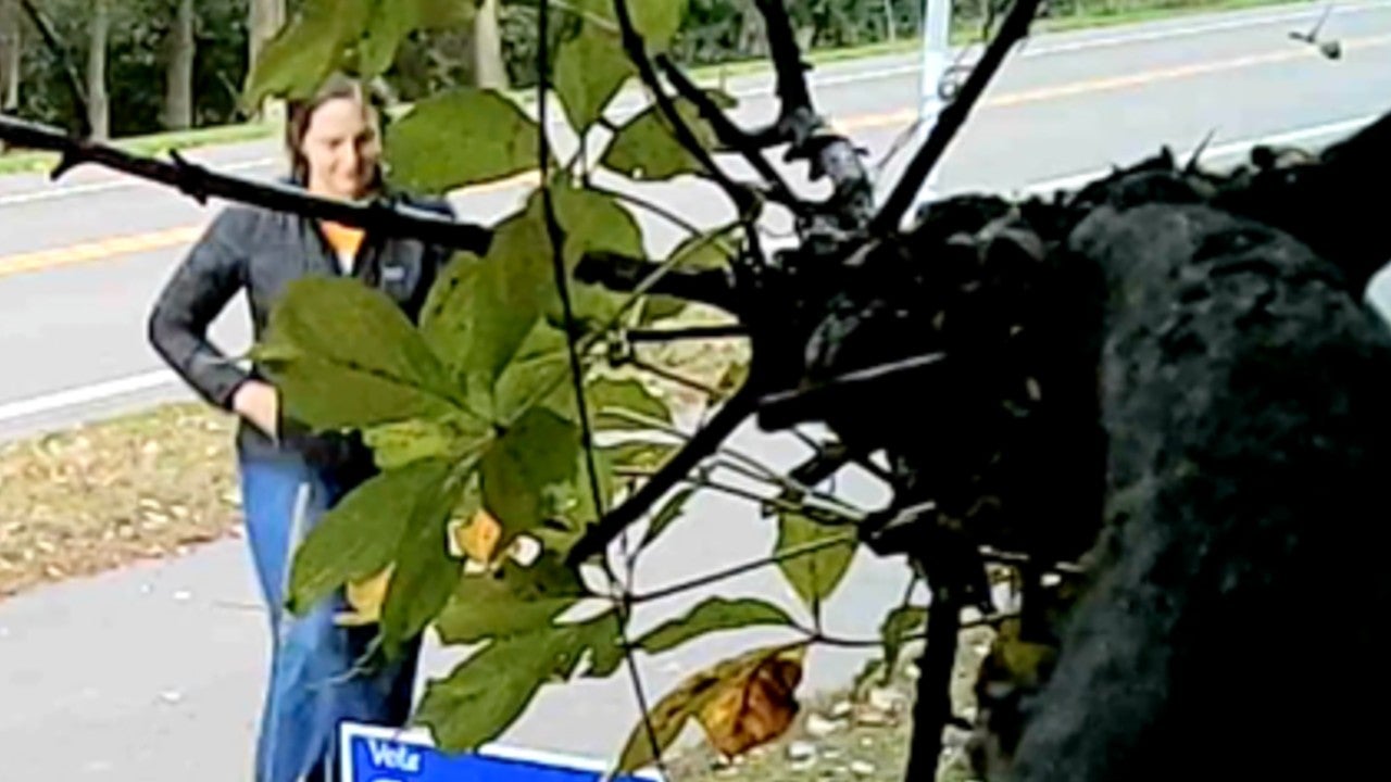 Video: Vadnais Heights council member removes mayoral candidate’s campaign sign, tosses it aside — KSTP 5, Bloomington Real Estate news