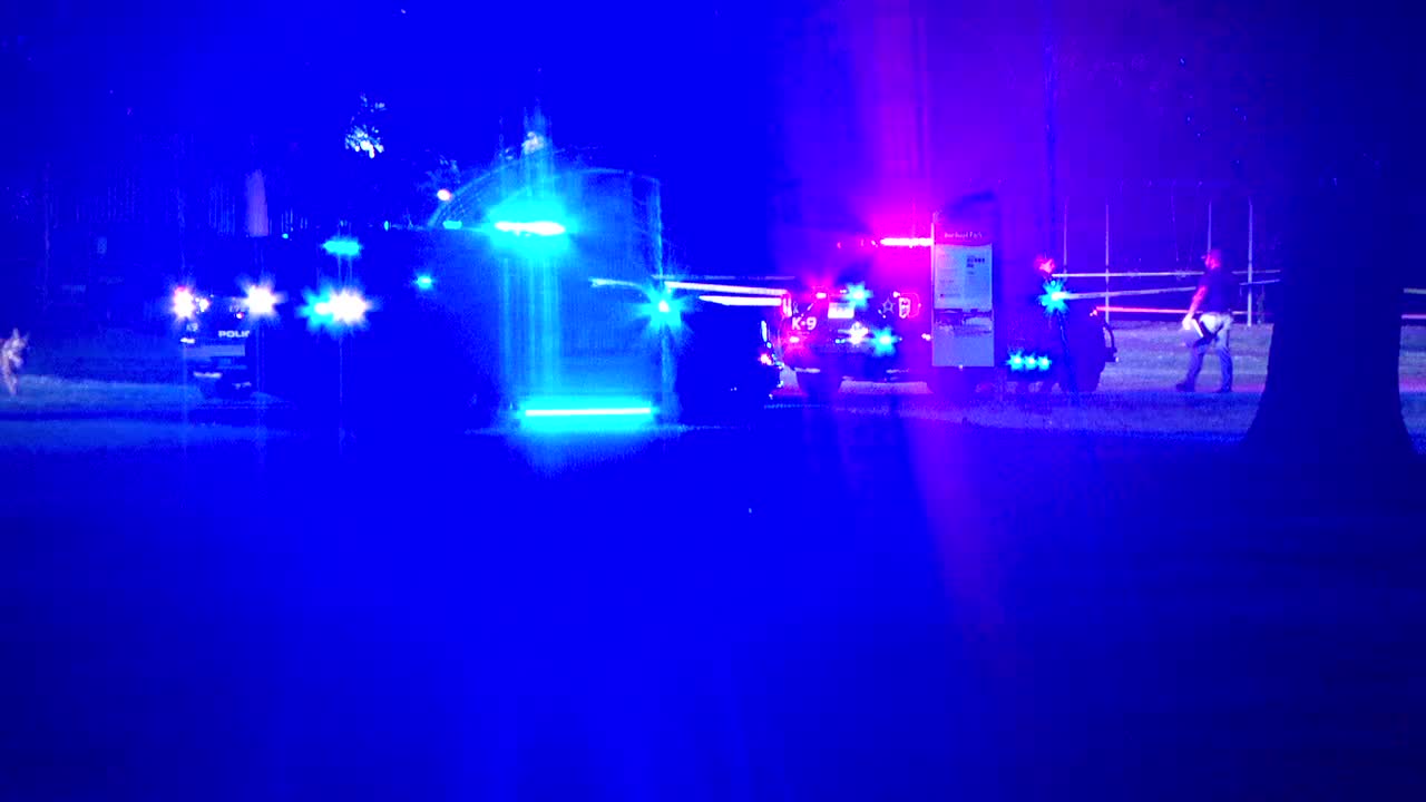Brooklyn Park teen shooting suspect ordered to stand trial as adult — FOX 9, Bloomington Community news