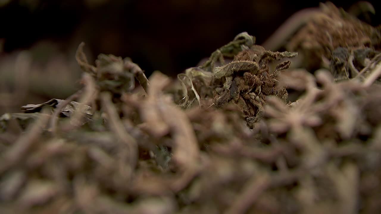 Hemp THC deadline hits $200 million industry, leads to layoffs, but liquor stores may maintain — FOX 9, Bloomington Business news