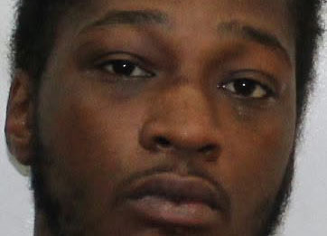 Man accused of attacking woman, killing dog with machete — FOX 9