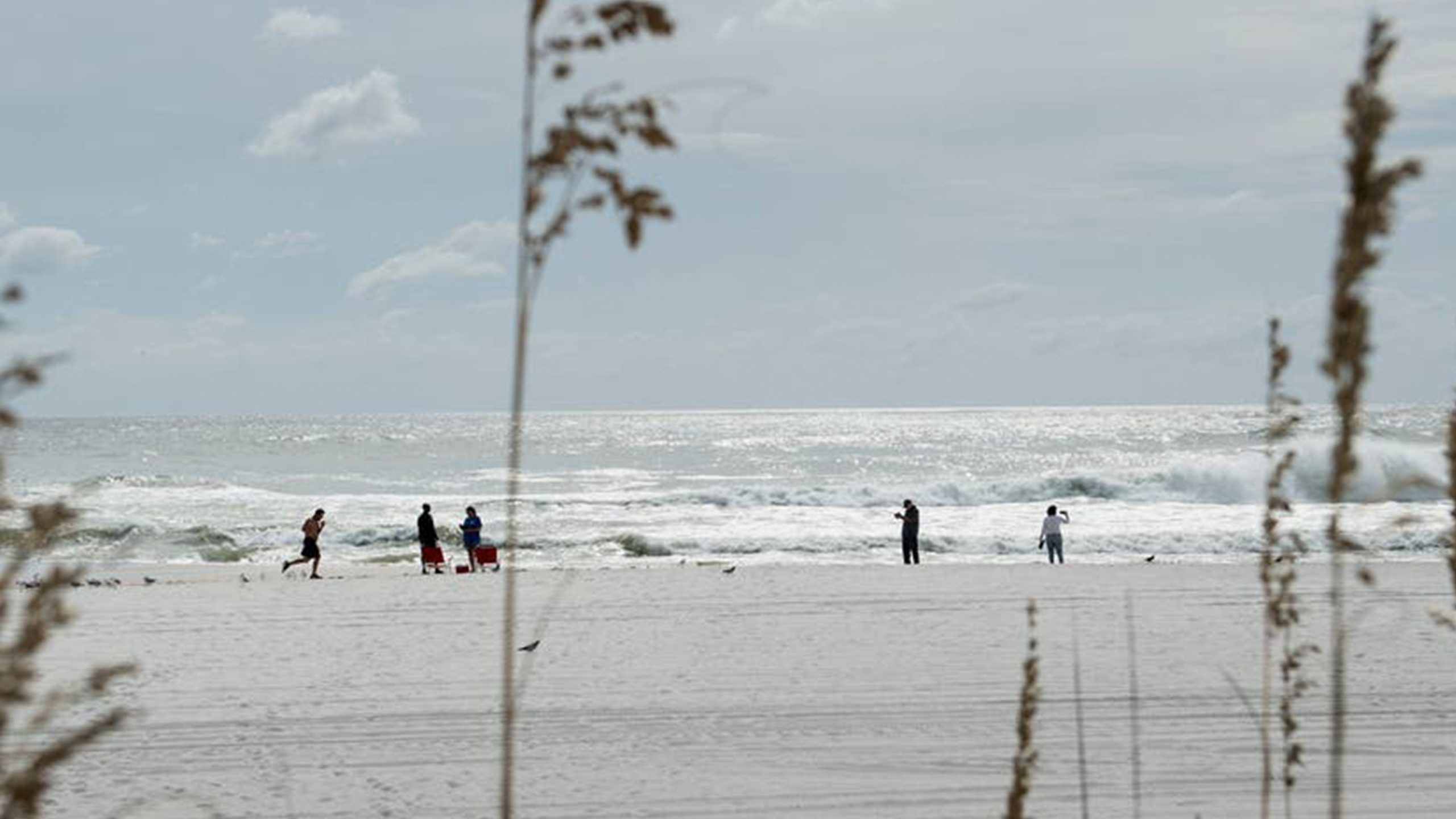 Father of 2 drowns after being caught in current trying to rescue seagull caught in fishing line — Bloomington Community news
