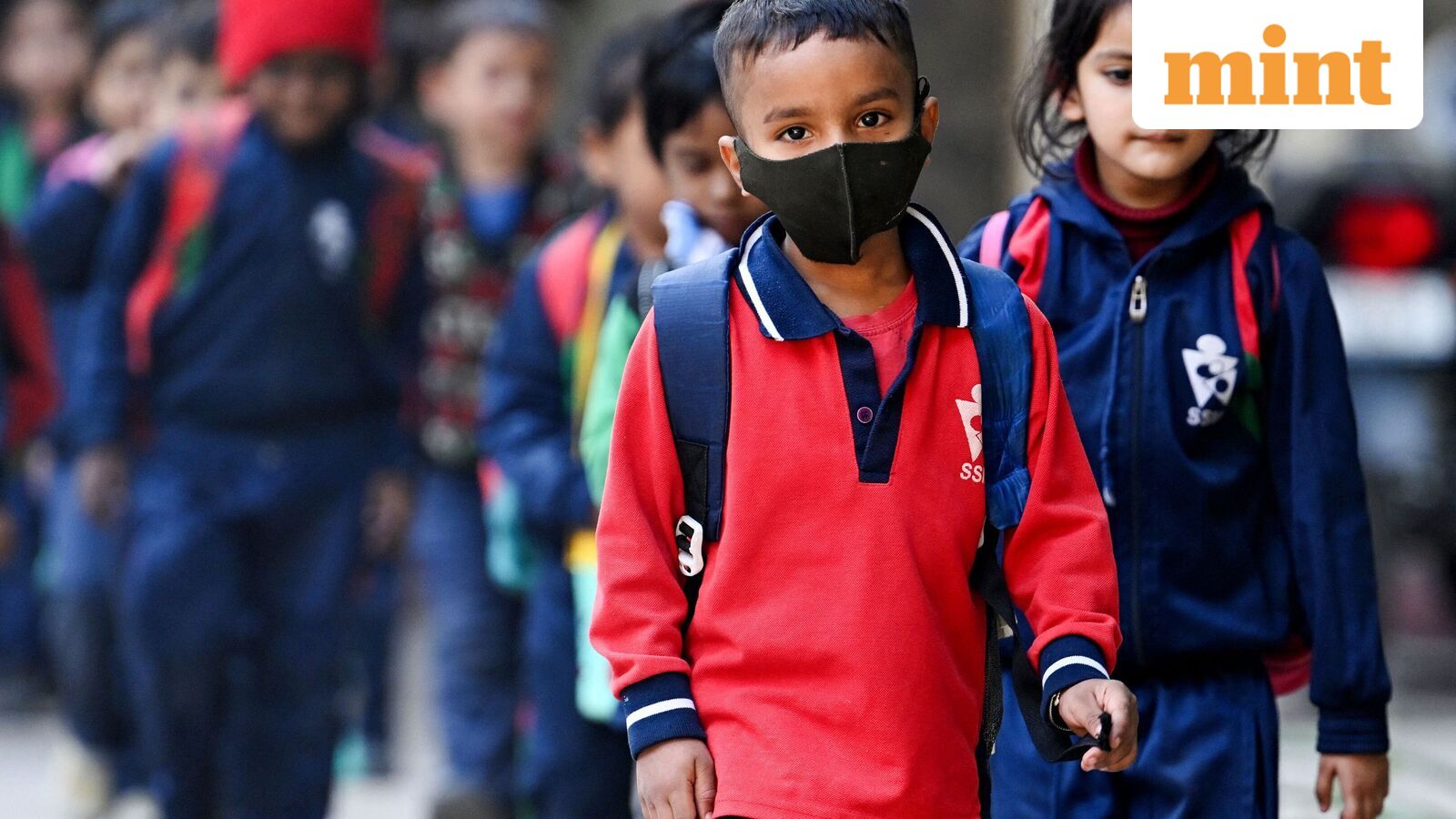 Chennai school holiday, Oct 21: Schools shut in four Tamil Nadu districts as heavy rains predicted | Check IMD alert — Mint India, Bloomington Schools news
